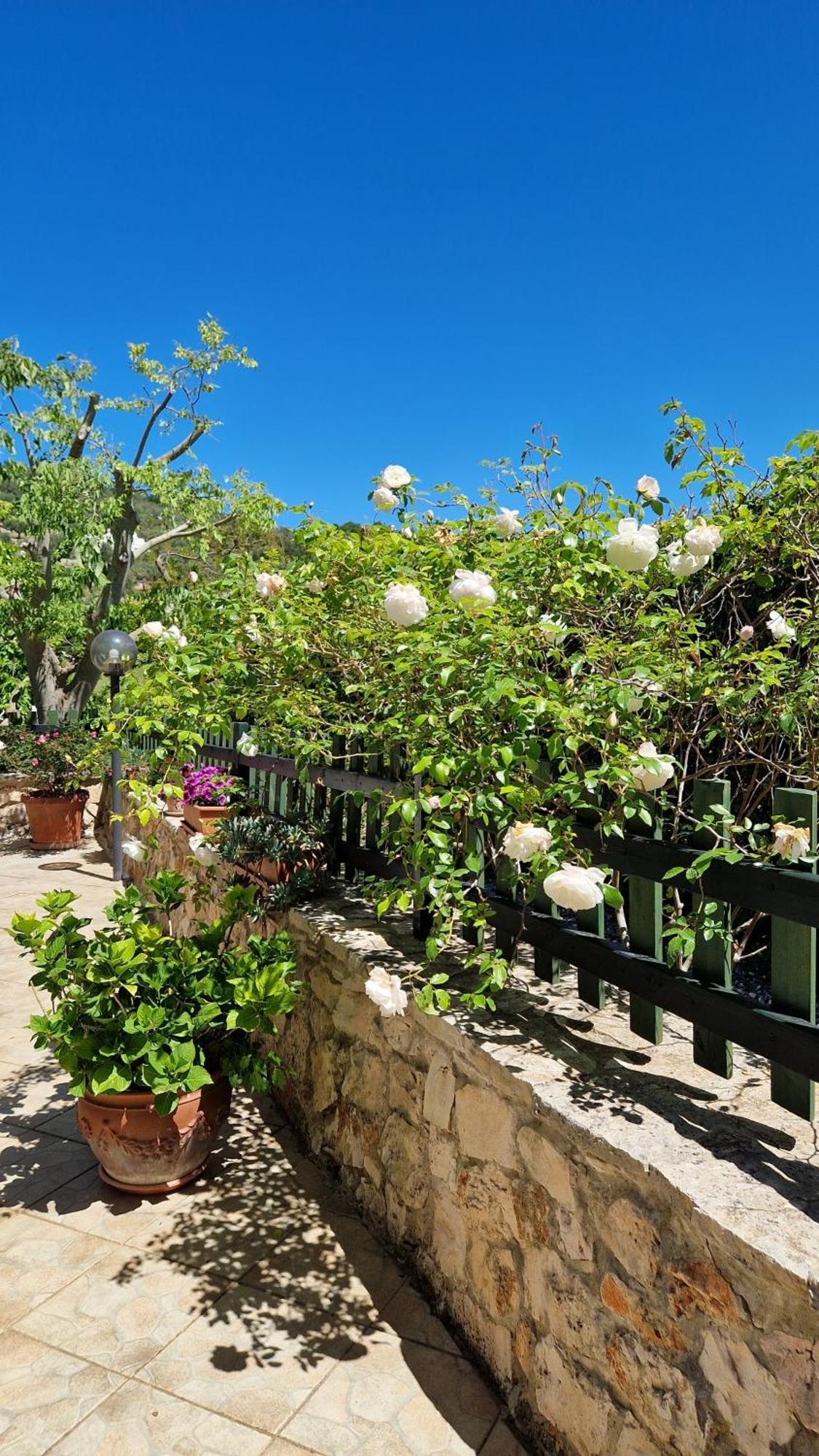 Trullo Grande Noce Villa Ostuni Buitenkant foto